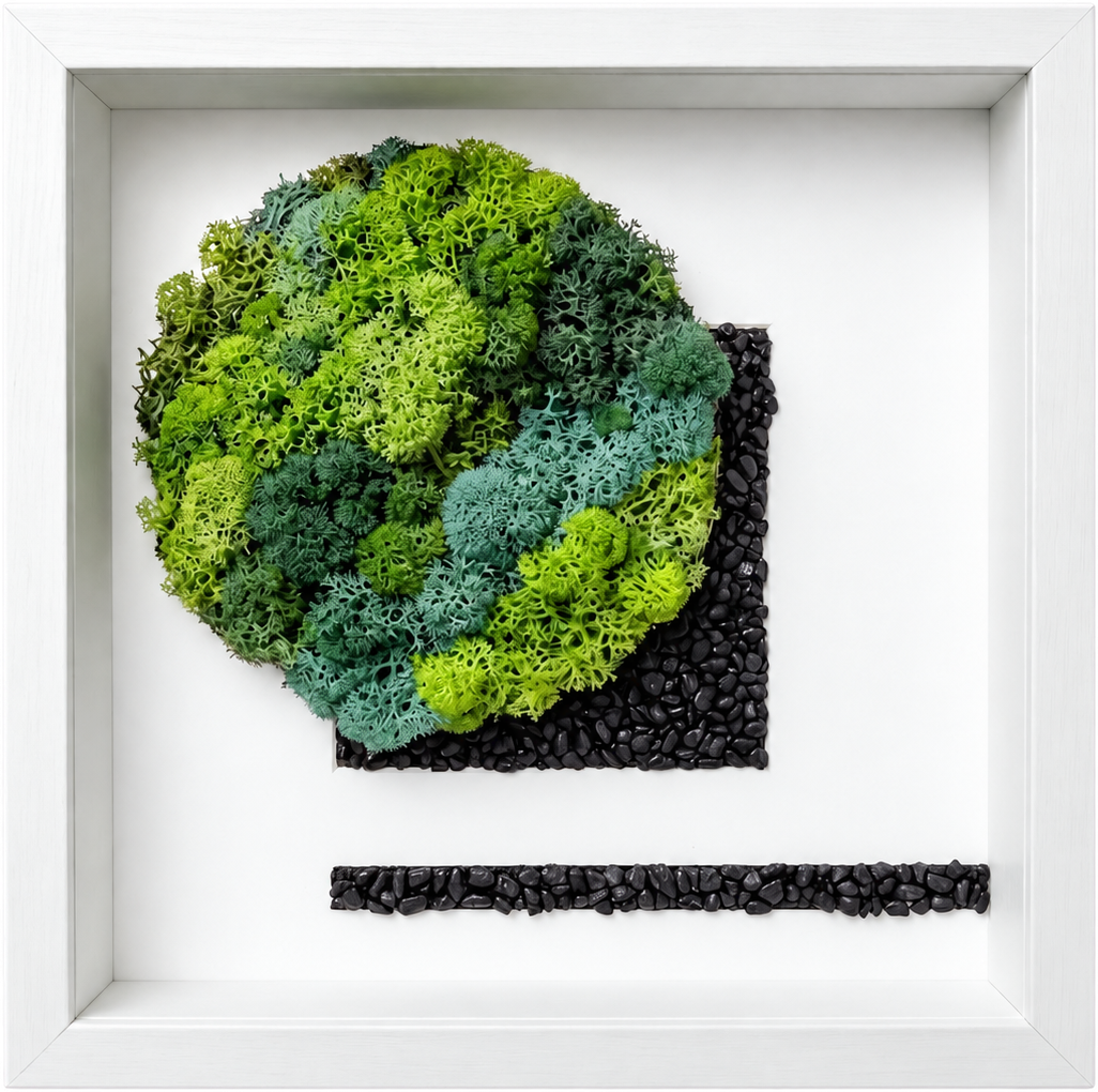 Shadow Box Small — #0575 — Handcrafted moss art by AguaClara Studio