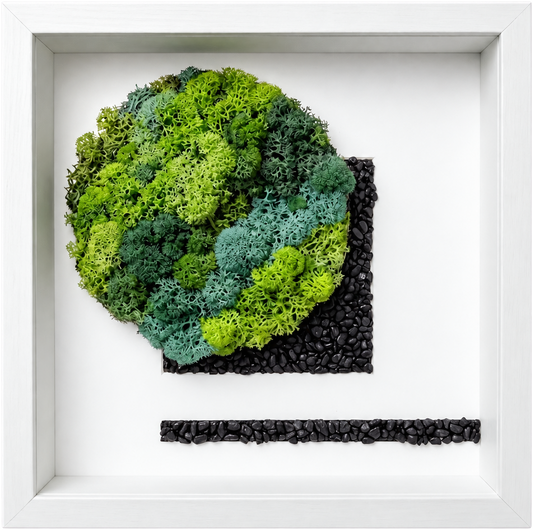 Shadow Box Small — #0575 — Handcrafted moss art by AguaClara Studio