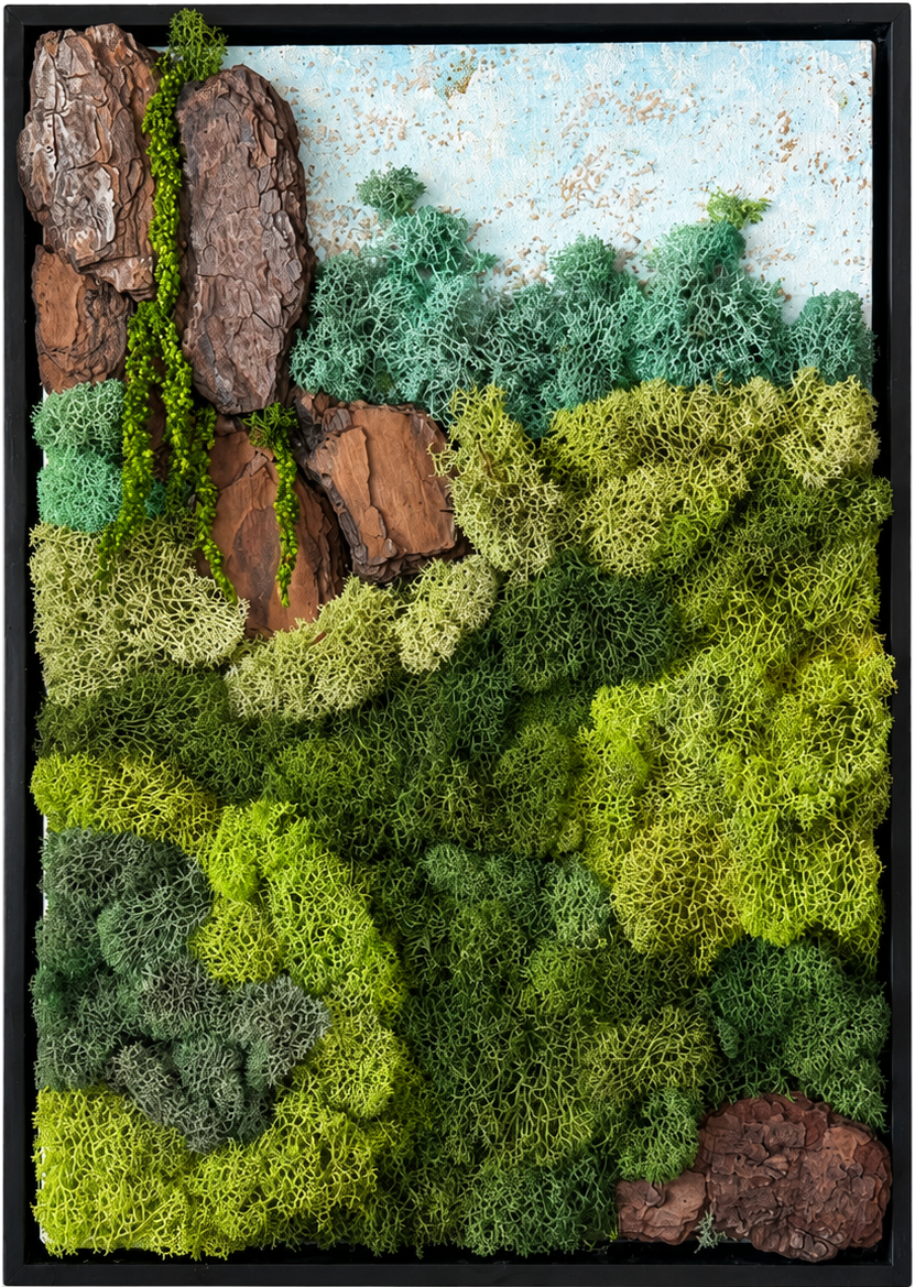 Tepuy 1