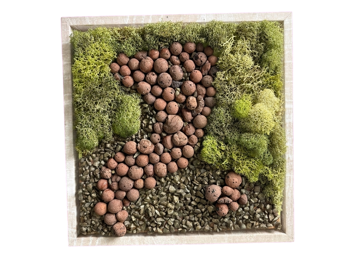 Moss Art — #0721 — Handcrafted moss art by AguaClara Studio