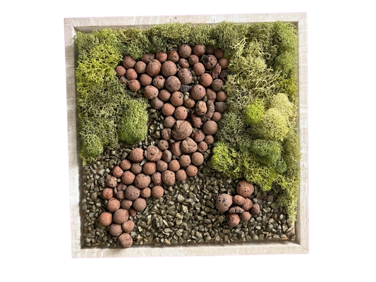 Moss Art — #0721 — Handcrafted moss art by AguaClara Studio