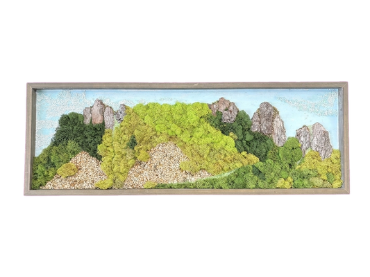 Moss Art — #0727 — Handcrafted moss art by AguaClara Studio