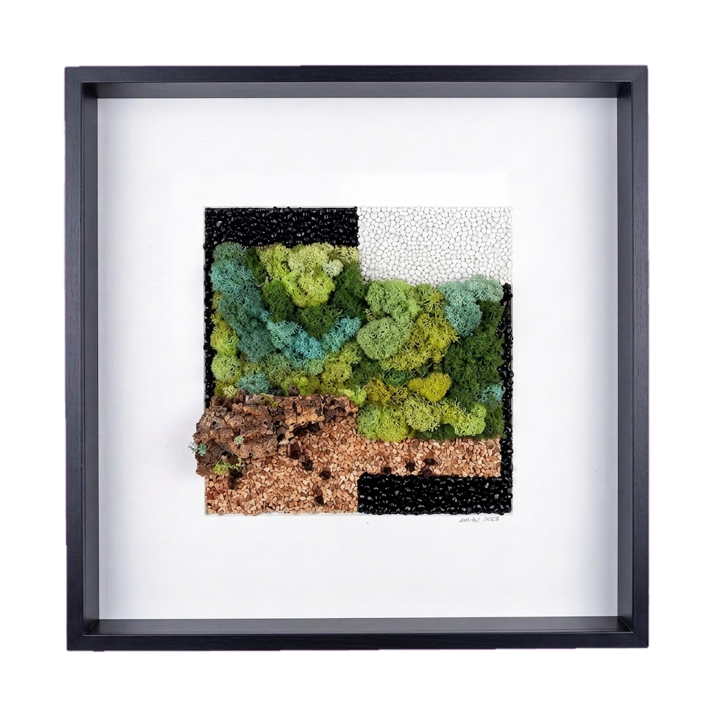 Shadow Box Large — #0617 — Handcrafted moss art by AguaClara Studio