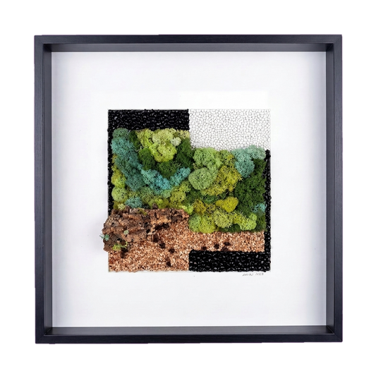 Shadow Box Large — #0617 — Handcrafted moss art by AguaClara Studio