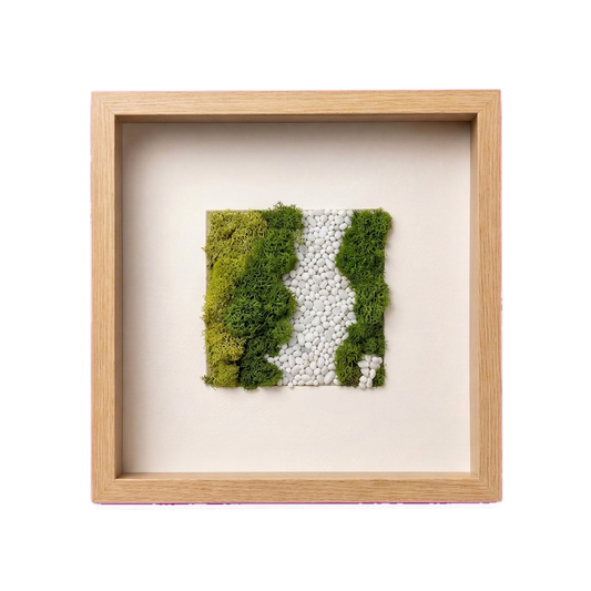 Shadow Box Small — #0426 — Handcrafted moss art by AguaClara Studio