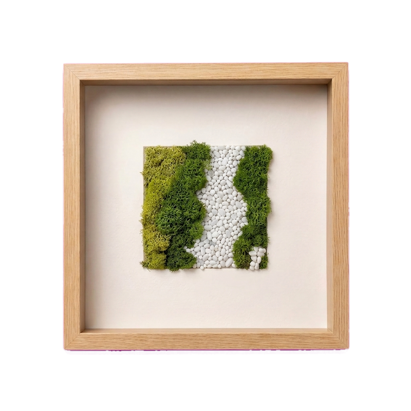 Shadow Box Small — #0426 — Handcrafted moss art by AguaClara Studio