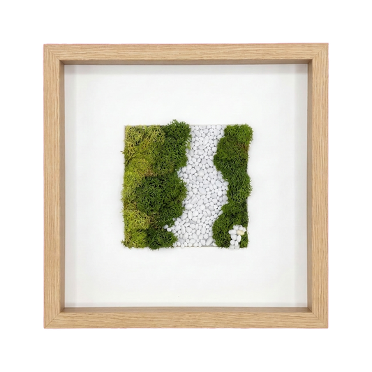 Shadow Box Small — #0429 — Handcrafted moss art by AguaClara Studio