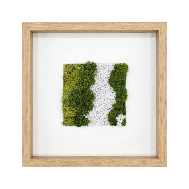 Shadow Box Small — #0429 — Handcrafted moss art by AguaClara Studio