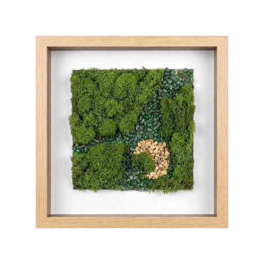 Shadow Box Small — #0433 — Handcrafted moss art by AguaClara Studio