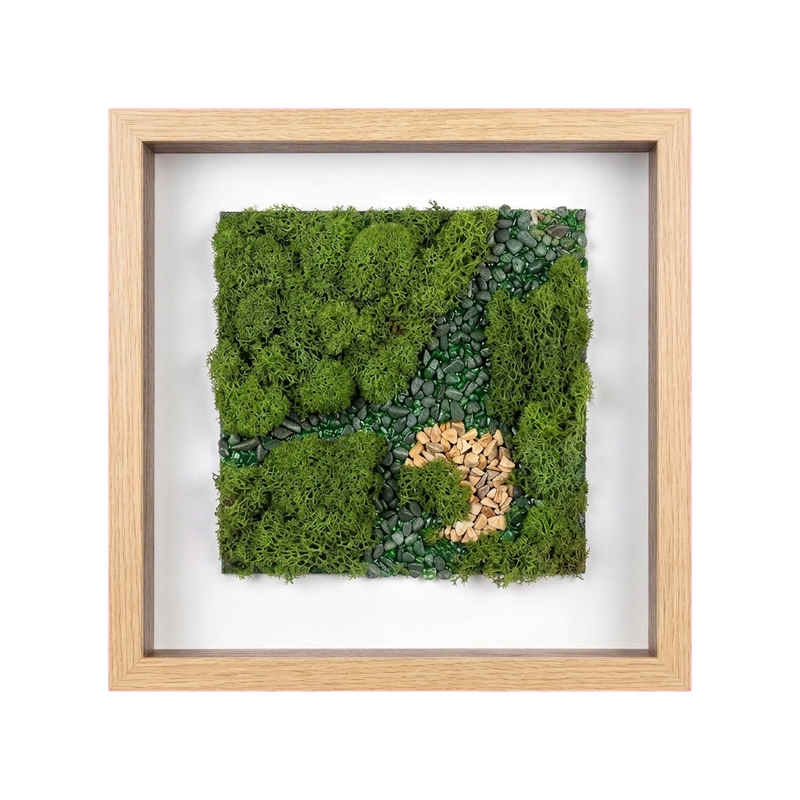 Shadow Box Small — #0433 — Handcrafted moss art by AguaClara Studio