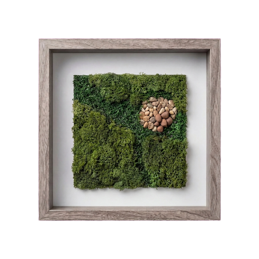 Shadow Box Small — #0497 — Handcrafted moss art by AguaClara Studio
