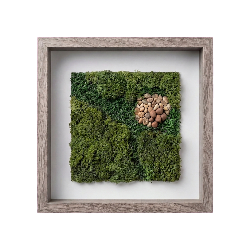Shadow Box Small — #0497 — Handcrafted moss art by AguaClara Studio