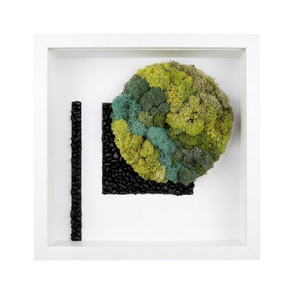 Shadow Box Small — #0507 — Handcrafted moss art by AguaClara Studio