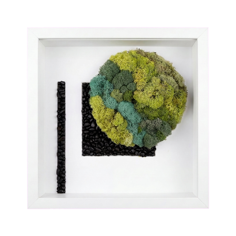 Shadow Box Small — #0507 — Handcrafted moss art by AguaClara Studio