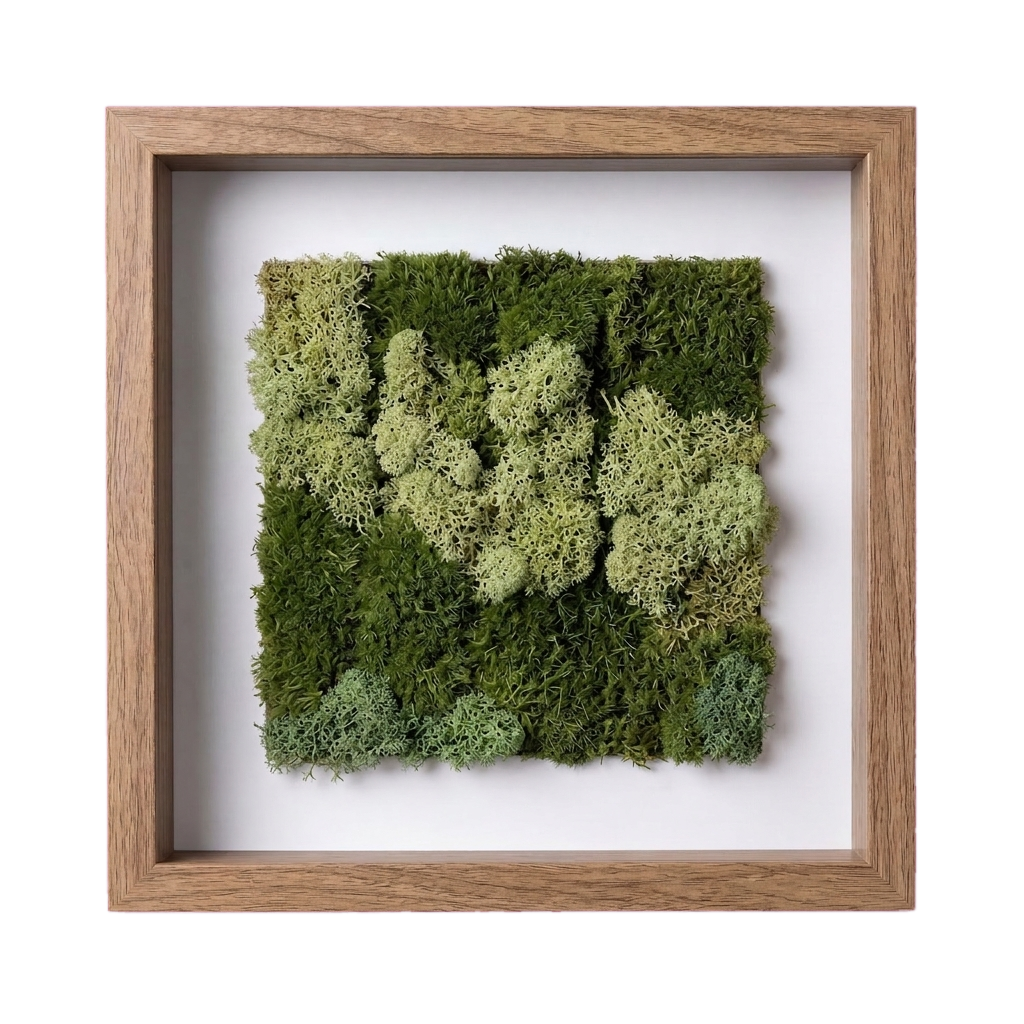 Shadow Box Small — #0518 — Handcrafted moss art by AguaClara Studio