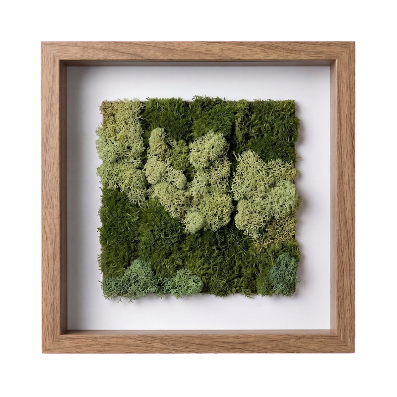 Shadow Box Small — #0518 — Handcrafted moss art by AguaClara Studio