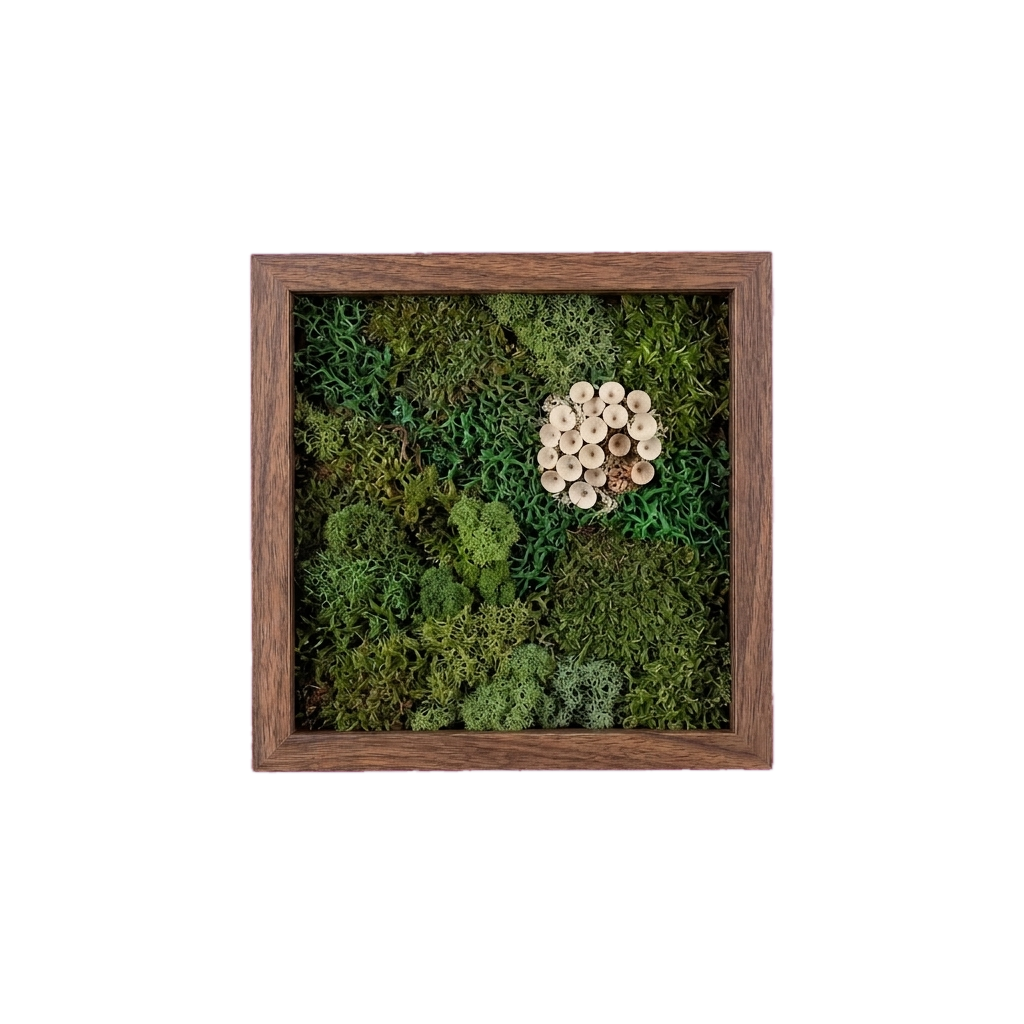 Shadow Box Small — #0565 — Handcrafted moss art by AguaClara Studio
