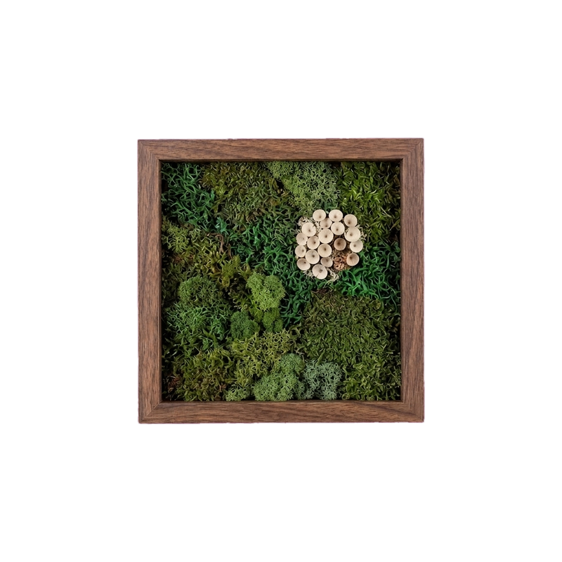 Shadow Box Small — #0565 — Handcrafted moss art by AguaClara Studio