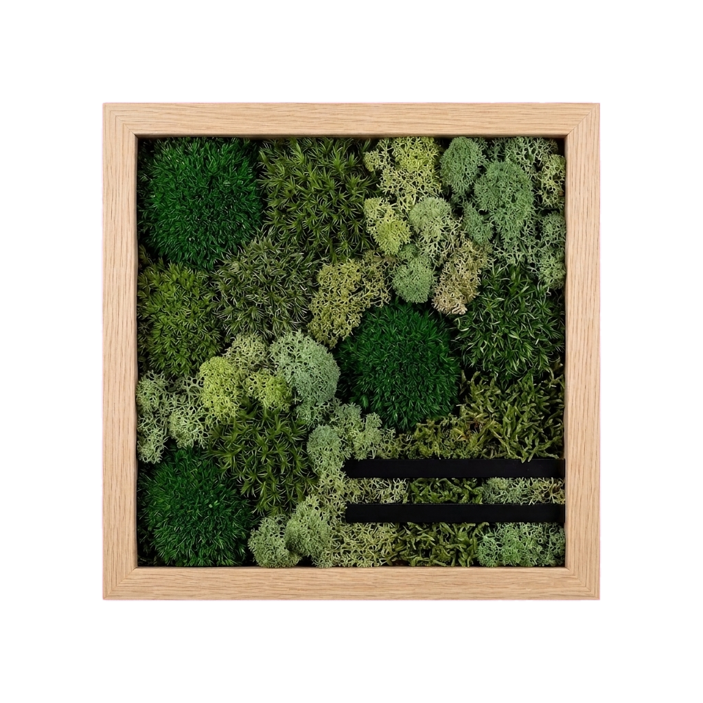 Shadow Box Small — #0568 — Handcrafted moss art by AguaClara Studio
