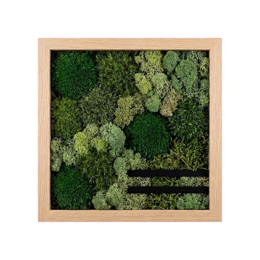 Shadow Box Small — #0568 — Handcrafted moss art by AguaClara Studio