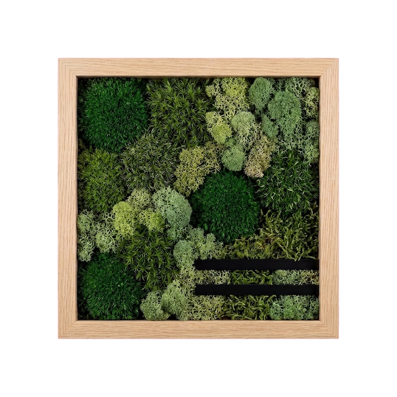 Shadow Box Small — #0568 — Handcrafted moss art by AguaClara Studio