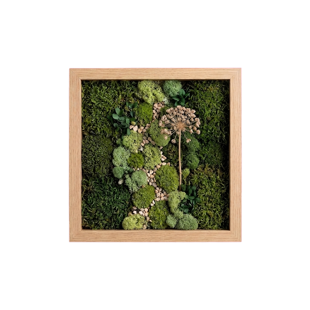 Shadow Box Small — #0569 — Handcrafted moss art by AguaClara Studio