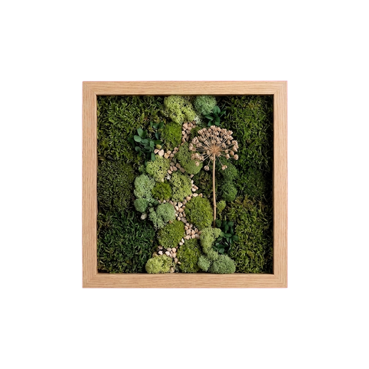 Shadow Box Small — #0569 — Handcrafted moss art by AguaClara Studio