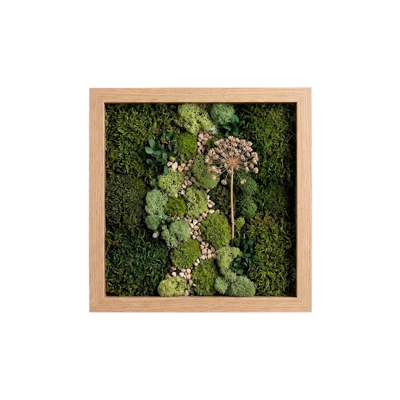 Shadow Box Small — #0569 — Handcrafted moss art by AguaClara Studio