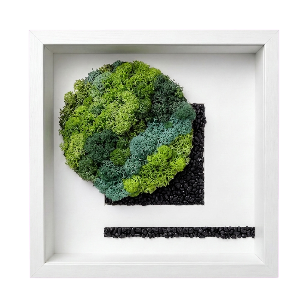 Shadow Box Small — #0575 — Handcrafted moss art by AguaClara Studio