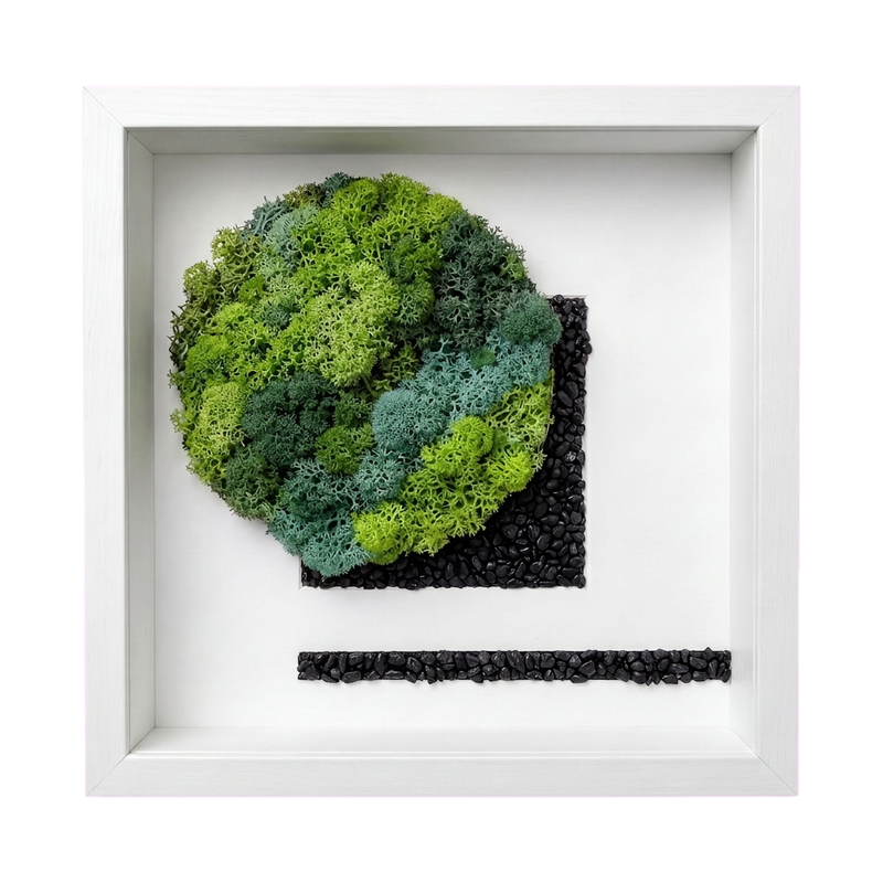 Shadow Box Small — #0575 — Handcrafted moss art by AguaClara Studio