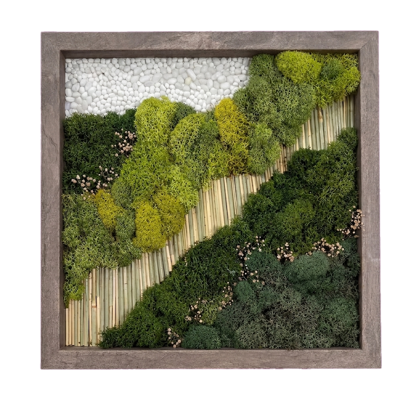 Simple Frame — #0526 — Handcrafted moss art by AguaClara Studio
