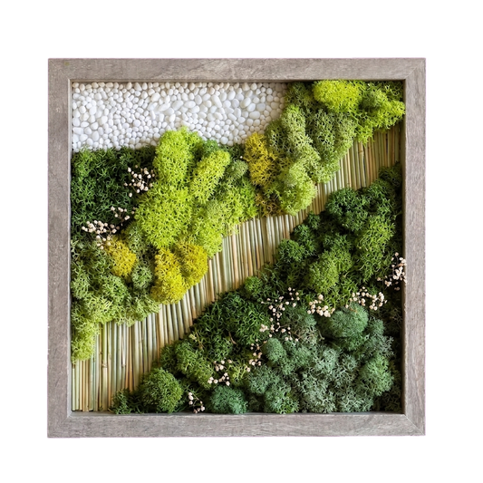 Simple Frame — #0548 — Handcrafted moss art by AguaClara Studio