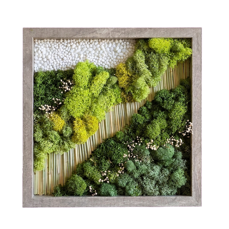 Simple Frame — #0548 — Handcrafted moss art by AguaClara Studio