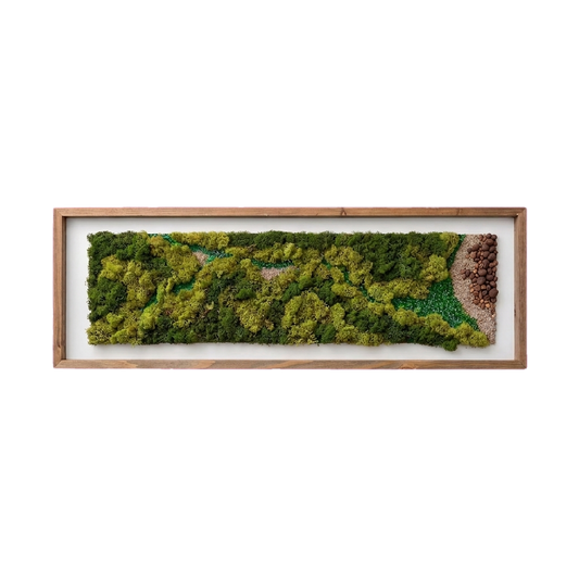 Simple Frame — #0611 — Handcrafted moss art by AguaClara Studio
