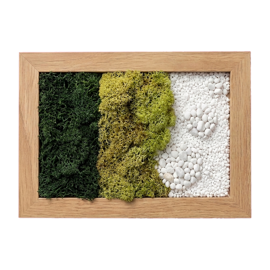Small Format — #0623 — Handcrafted moss art by AguaClara Studio