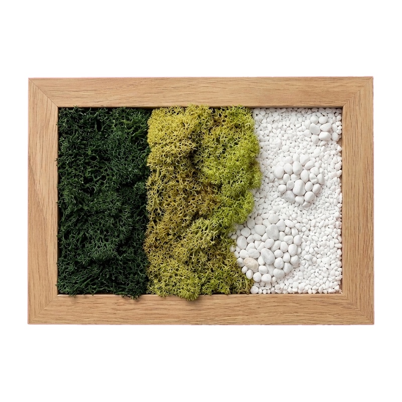 Small Format — #0623 — Handcrafted moss art by AguaClara Studio
