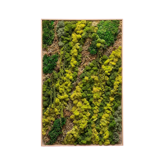 LiveTrends — #b2bd — Handcrafted moss art by AguaClara Studio
