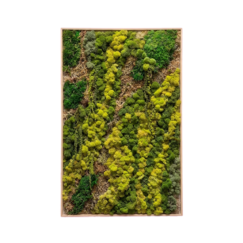 LiveTrends — #b2bd — Handcrafted moss art by AguaClara Studio