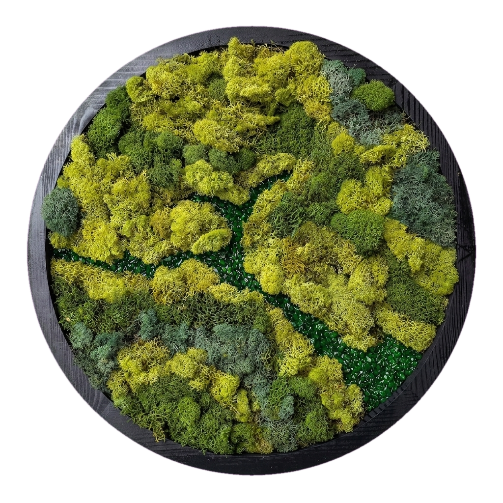 LiveTrends — #0134 — Handcrafted moss art by AguaClara Studio