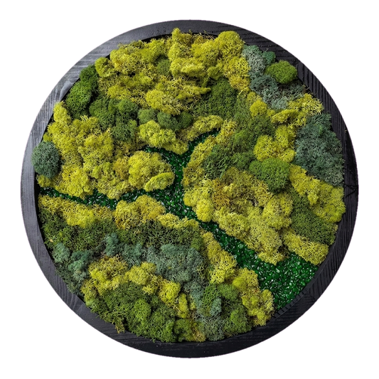 LiveTrends — #0134 — Handcrafted moss art by AguaClara Studio