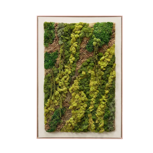 LiveTrends — #0139 — Handcrafted moss art by AguaClara Studio